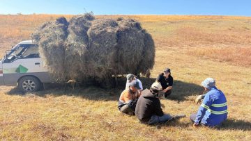 Хөдөө аж ахуйн салбарын 2025-2026 оны өвөлжилт, хаваржилтын бэлтгэл ажлыг хангах зорилгоор