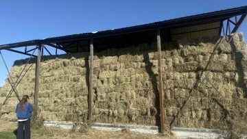 МУ-ын Засгийн газрын 2025 оны 56 дугаар тогтоолоор аймаг, сумдын аюулгүйн нөөцийн өвс, тэжээл